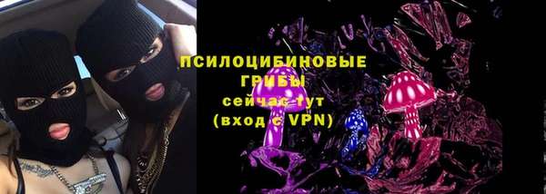 гидропоника Горно-Алтайск