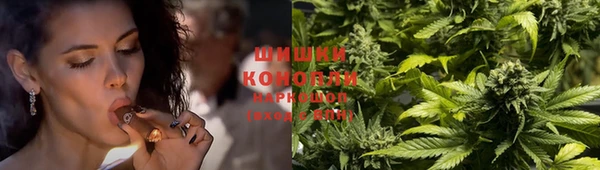 гидропоника Горно-Алтайск
