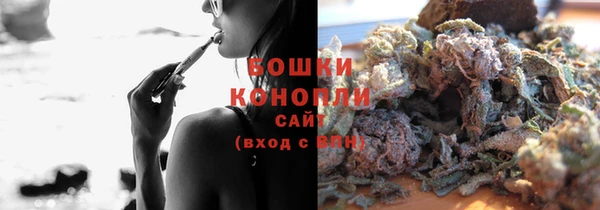 прущая мука Вяземский
