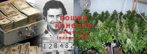 гидропоника Горно-Алтайск
