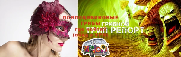 прущая мука Вяземский