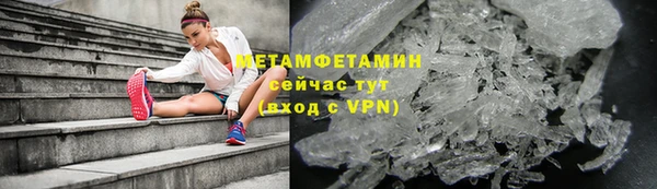 прущие грибы Волосово